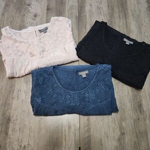 Style & Co. Women's Lace Blouses - Black, Blue, and Cream